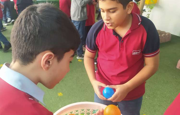 درس ریاضی بخش پذیری اعداد 1