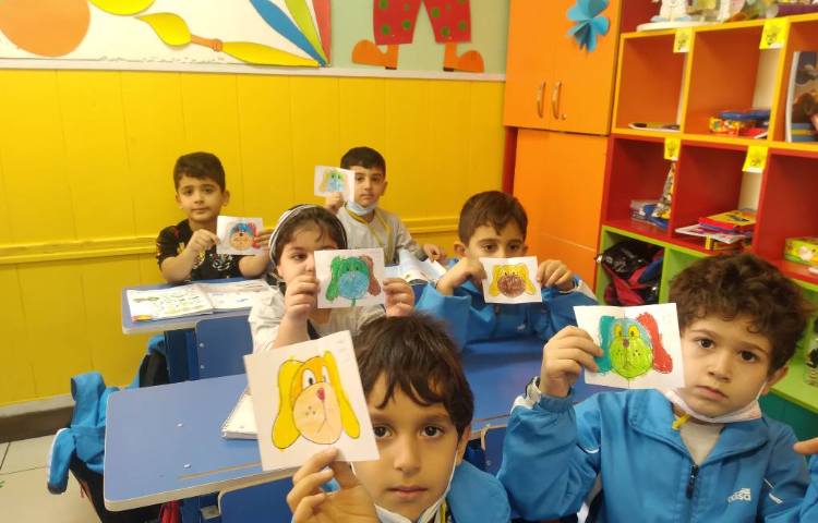 : درس ریاضی، تمرین تقارن، کلاس پرتقال