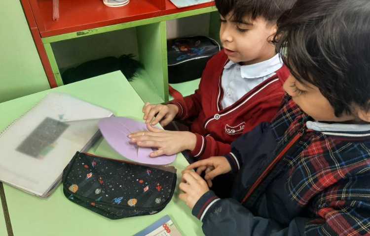 درس : ریاضی موضوع : نشان دادن قسمت های مساوی شکل ها 3