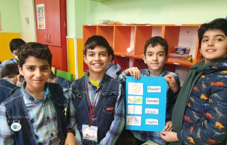 :درس زبان، کار گروهی کاردستی اجزای یک گیاه 2