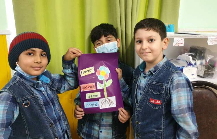 :درس زبان، کار گروهی کاردستی اجزای یک گیاه 3