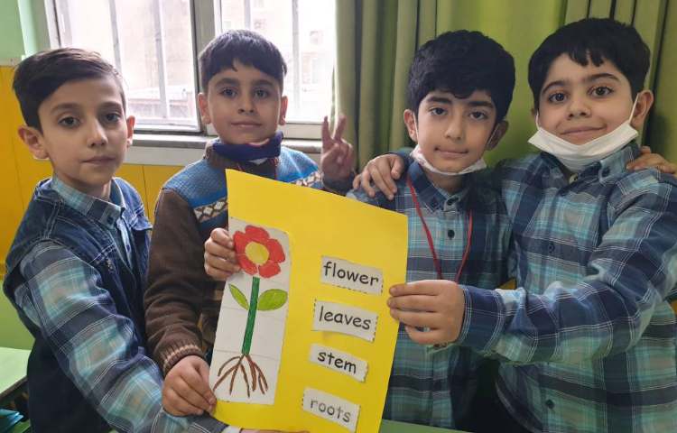 :درس زبان، کار گروهی کاردستی اجزای یک گیاه 4