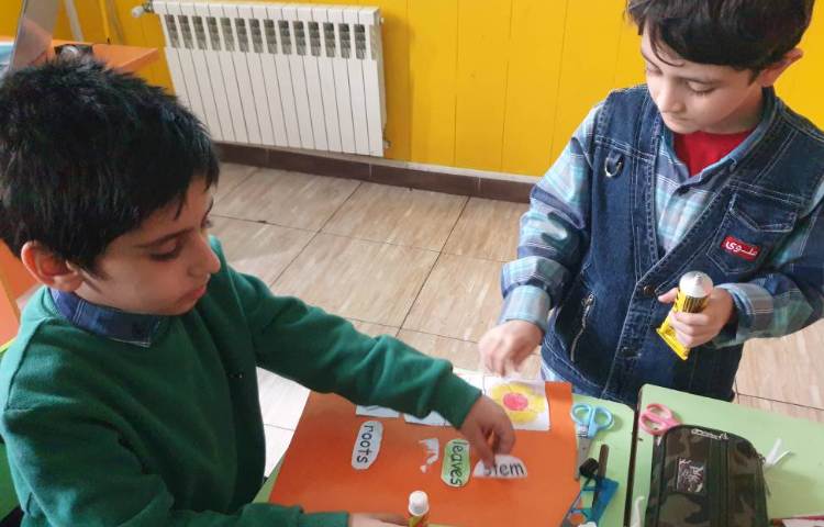 :درس زبان، کار گروهی کاردستی اجزای یک گیاه 5