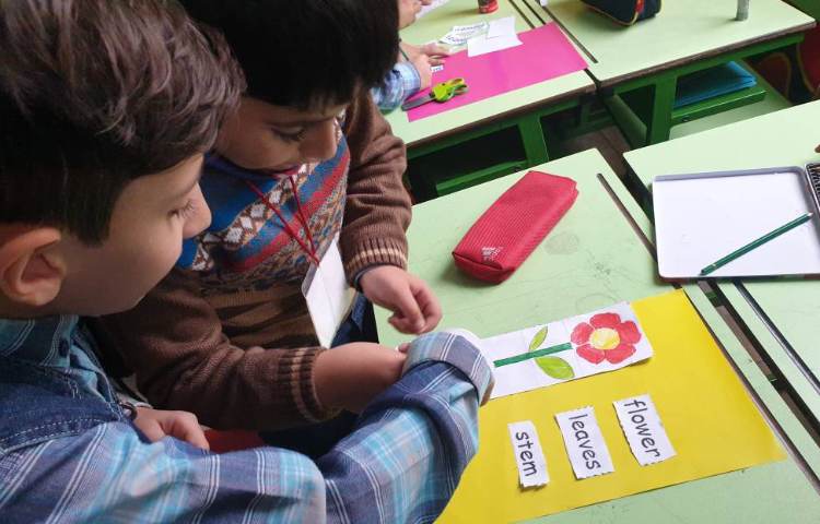 :درس زبان، کار گروهی کاردستی اجزای یک گیاه 6