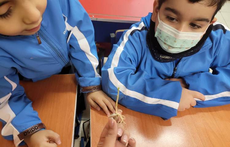 :درس علوم،قلمه زدن، کلاس انگور 5