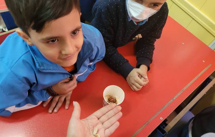 :درس علوم،قلمه زدن، کلاس انگور 7