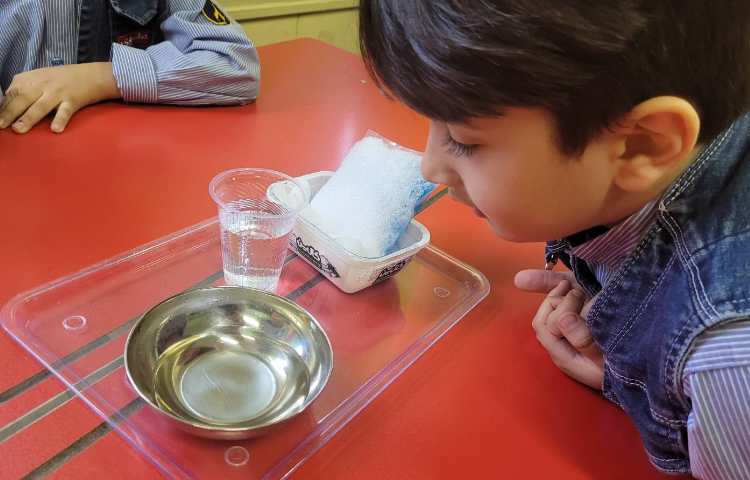 درس علوم، آشنایی با حالت های مختلف آب 4