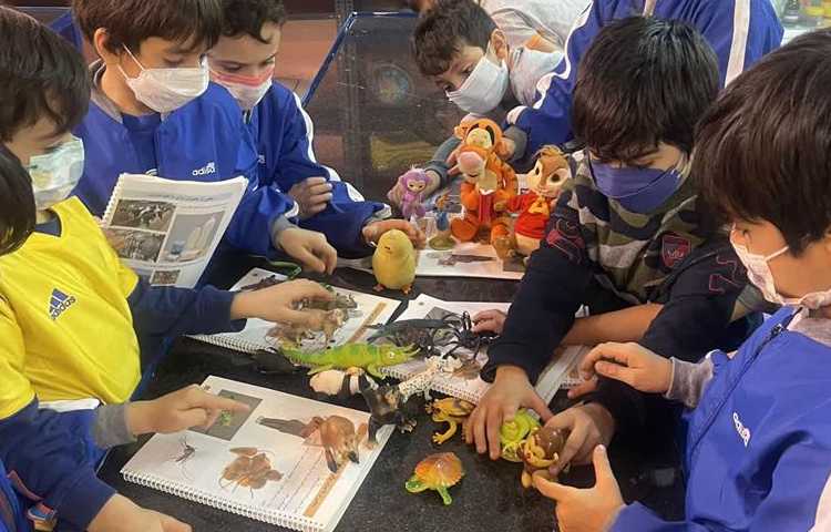 درس علوم آشنایی با حیوانات اهلی و غیر اهلی 6