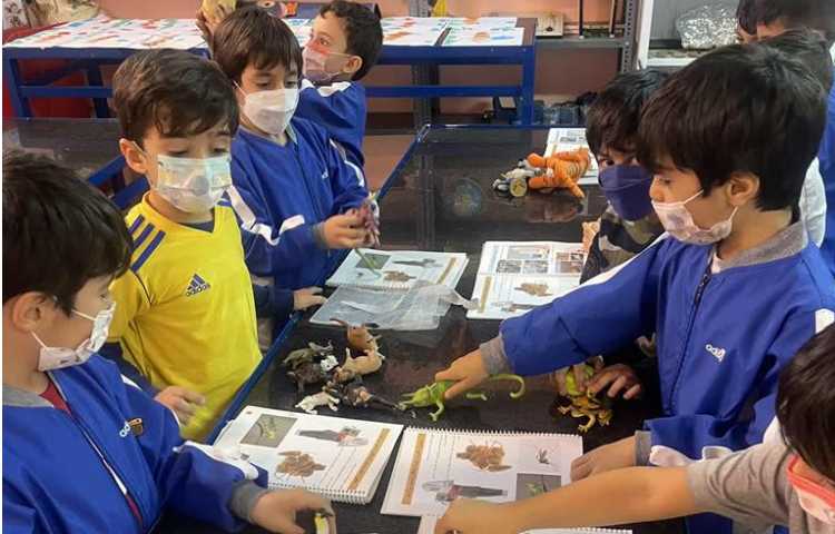 درس علوم آشنایی با حیوانات اهلی و غیر اهلی