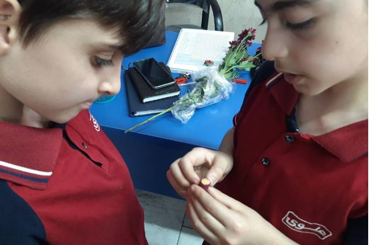 درس علوم آشنایی با قسمتهای مختلف گیاهان 1