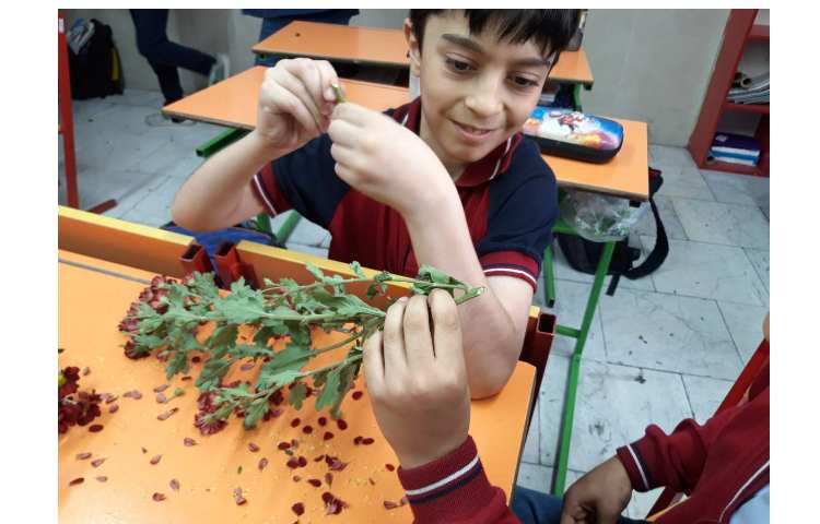 درس علوم آشنایی با قسمتهای مختلف گیاهان 3