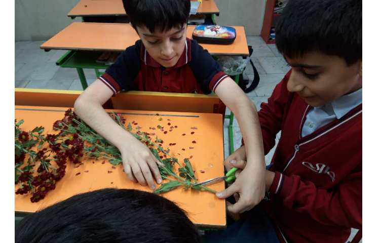 درس علوم آشنایی با قسمتهای مختلف گیاهان 4