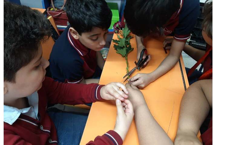 درس علوم آشنایی با قسمتهای مختلف گیاهان 6