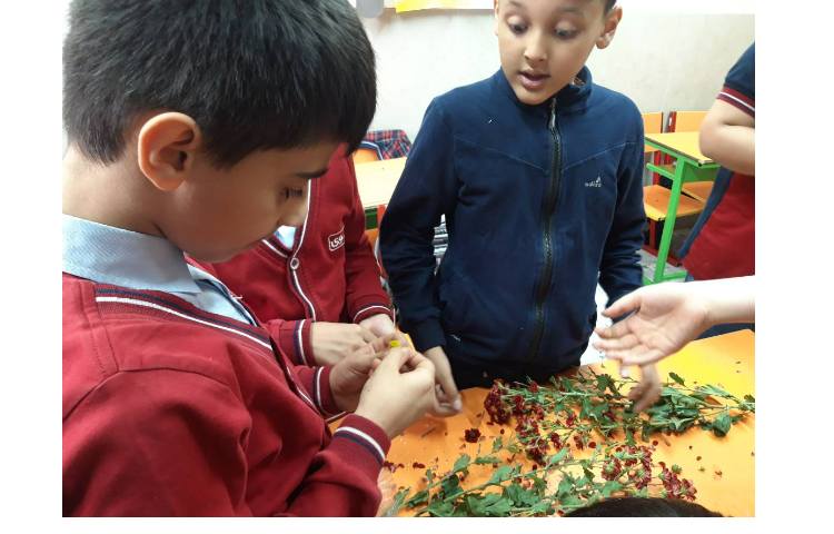 درس علوم آشنایی با قسمتهای مختلف گیاهان