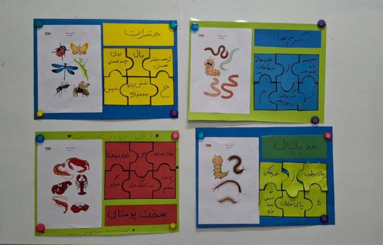 درس علوم (آشنایی یا جانواران مهره دار و بی مهره ) 1