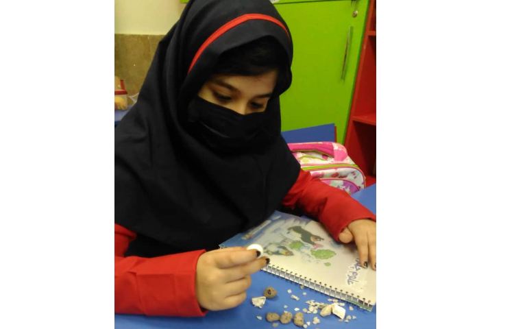 درس علوم بررسی سنگ ها