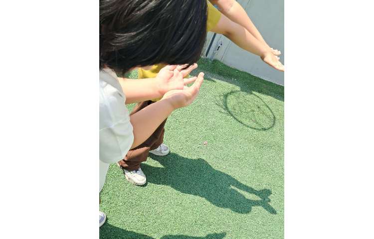 درس علوم تشکیل سایه 13