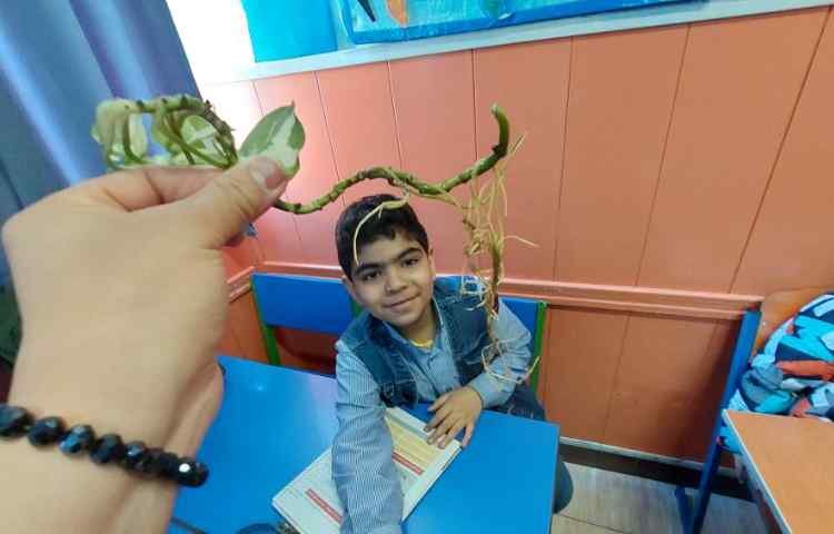 درس علوم : تکثیر گیاه به روش قلمه زدن 2