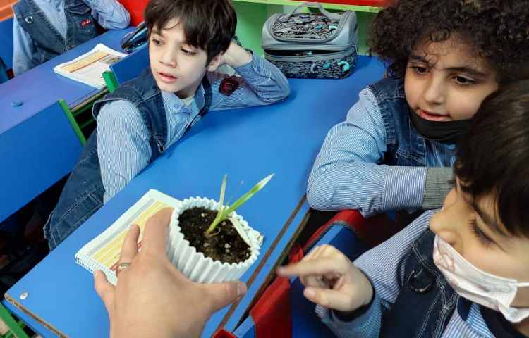 درس علوم : تکثیر گیاه به روش قلمه زدن 3