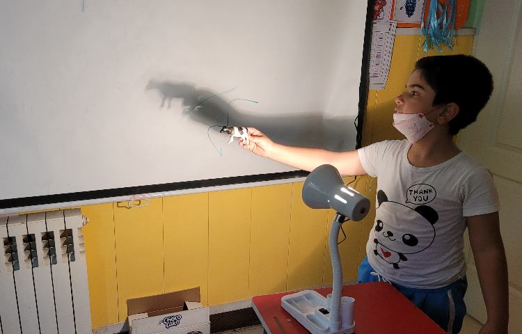 :درس علوم، سایه بازی و تماشای فیلم فندق 3