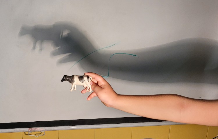 :درس علوم، سایه بازی و تماشای فیلم فندق 4