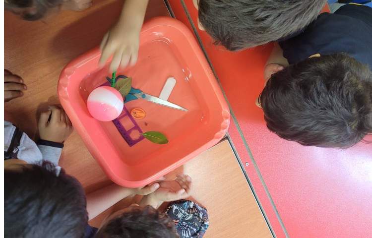 درس علوم سبک و سنگین