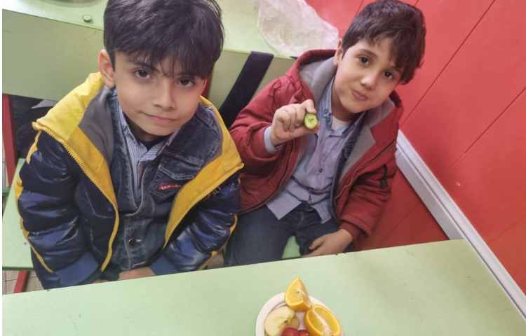 درس علوم سرگذشت دانه 3