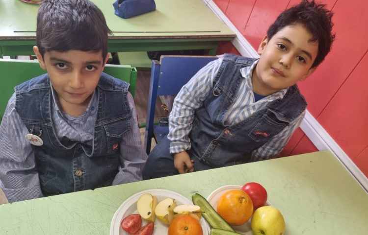 درس علوم سرگذشت دانه 4