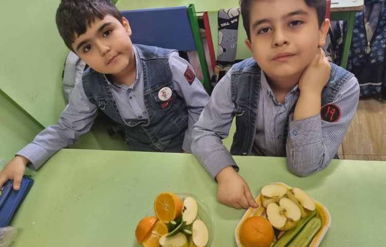 درس علوم سرگذشت دانه 5