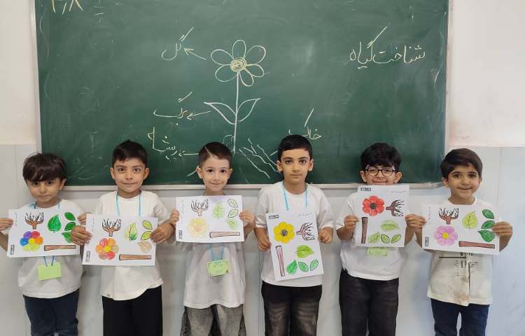 درس علوم : شناخت اجزای گیاه همراه با نقاشی و کاردستی در کلاس اجرا شد. 5