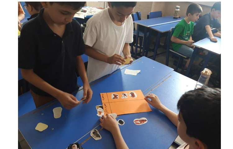 درس علوم طبقه بندی جانوران 3