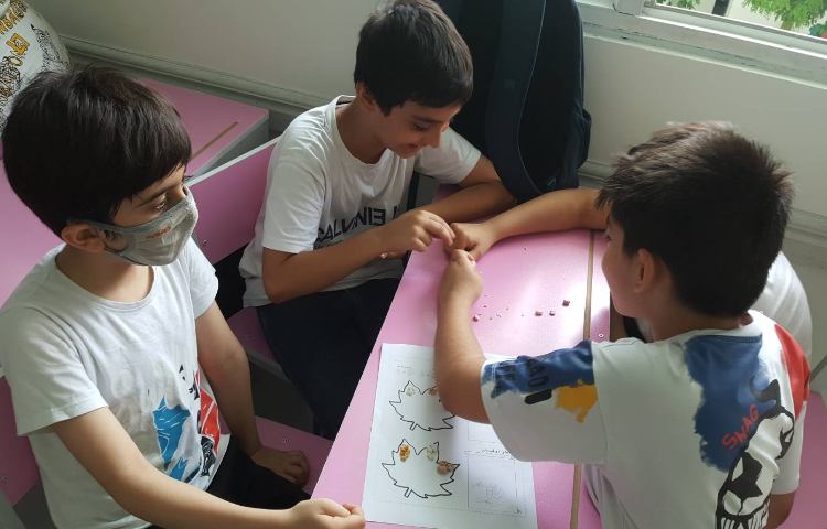 درس علوم: علوم، دنیای شگفتی‌ها