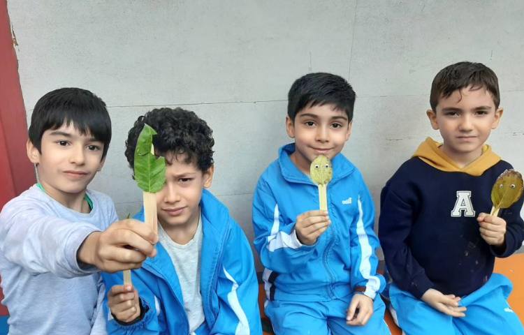 :درس علوم، فصل گیاهان 13