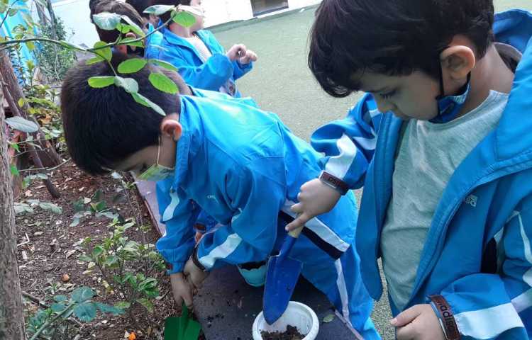 :درس علوم، فصل گیاهان 2