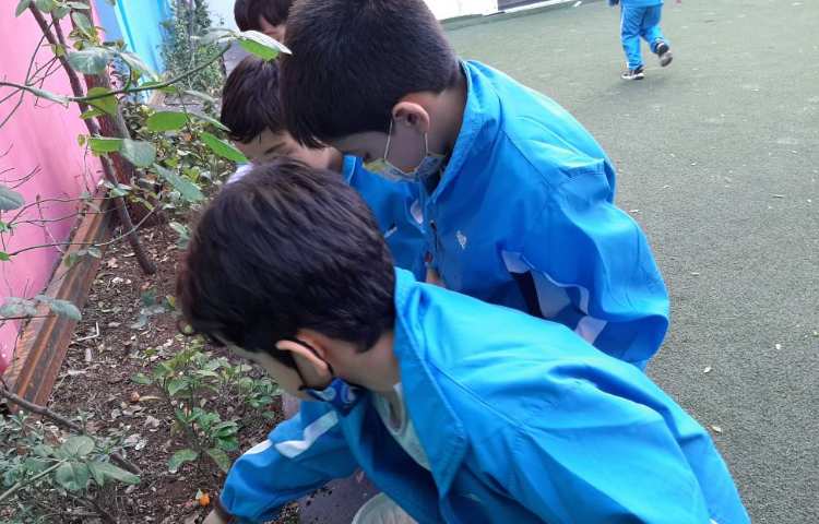 :درس علوم، فصل گیاهان 3