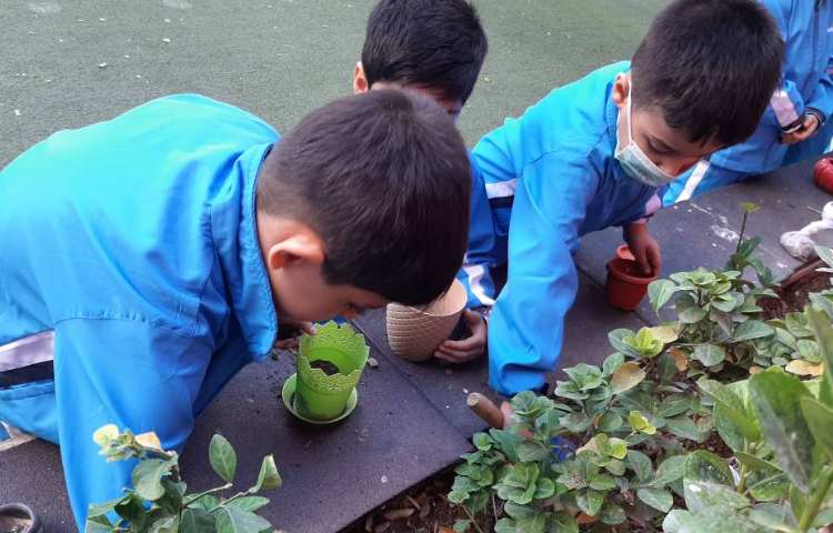 :درس علوم، فصل گیاهان 4