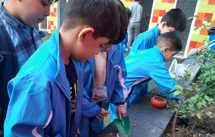 :درس علوم، فصل گیاهان 5