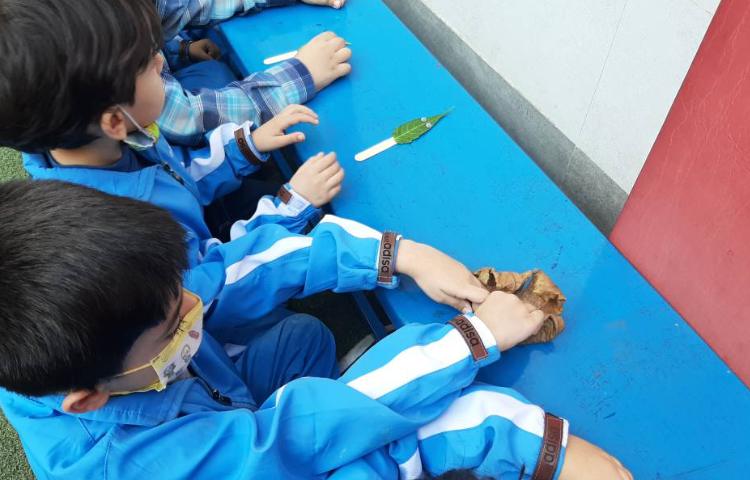 :درس علوم، فصل گیاهان 8