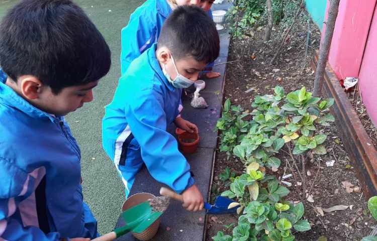 :درس علوم، فصل گیاهان