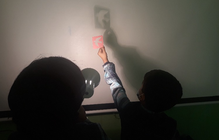 :درس علوم، فعالیت تشکیل سایه 2