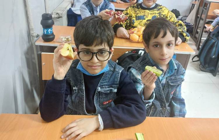 درس علوم مبحث دانه ها مشاهده ی عینی میوه ها و سبزیجات دانه دار 1