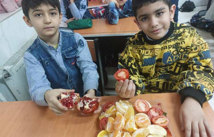 درس علوم مبحث دانه ها مشاهده ی عینی میوه ها و سبزیجات دانه دار 3