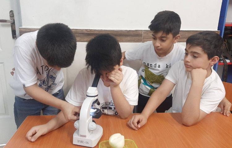 درس علوم (مبحث سلول ها) 2