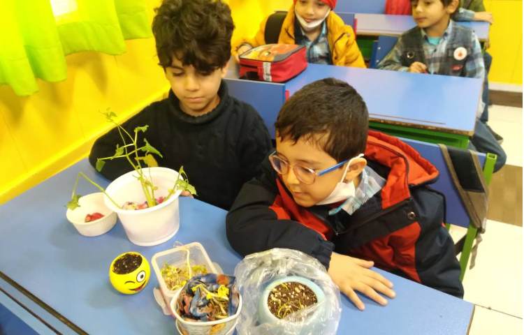 :درس علوم، مشاهده قسمت های مختلف گیاه 3