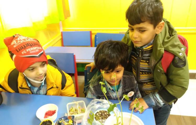 :درس علوم، مشاهده قسمت های مختلف گیاه 4