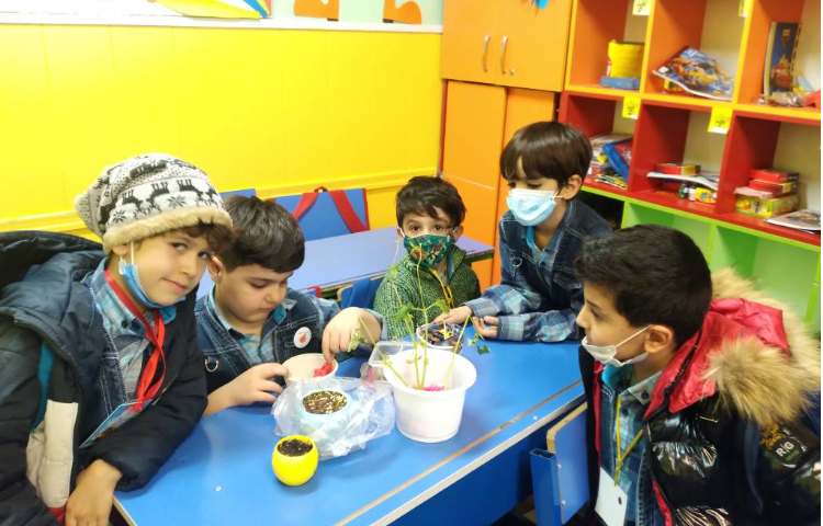 :درس علوم، مشاهده قسمت های مختلف گیاه 5