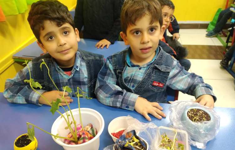 :درس علوم، مشاهده قسمت های مختلف گیاه