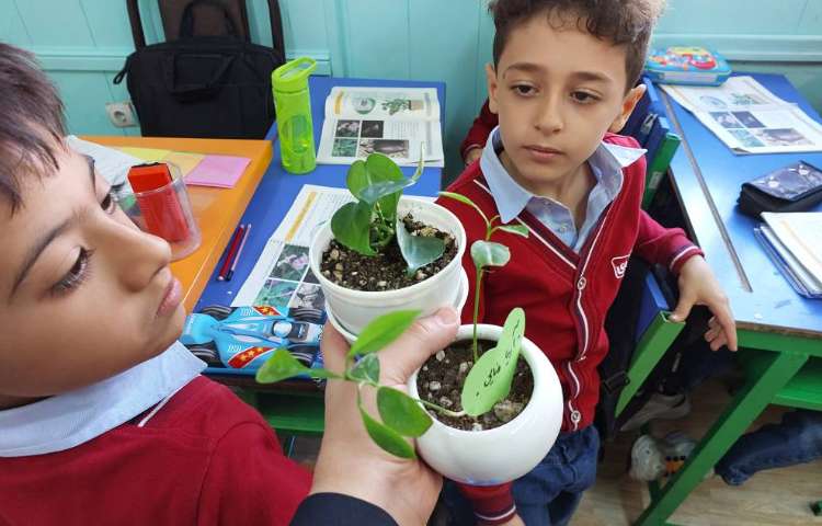 درس: علوم موضوع: رشد گیاه و دانه 3