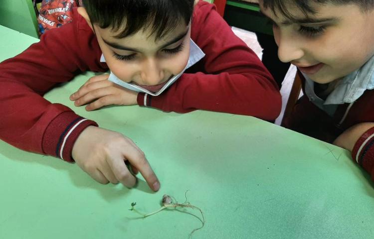 درس علوم موضوع : سرگذشت دانه، گیاهک