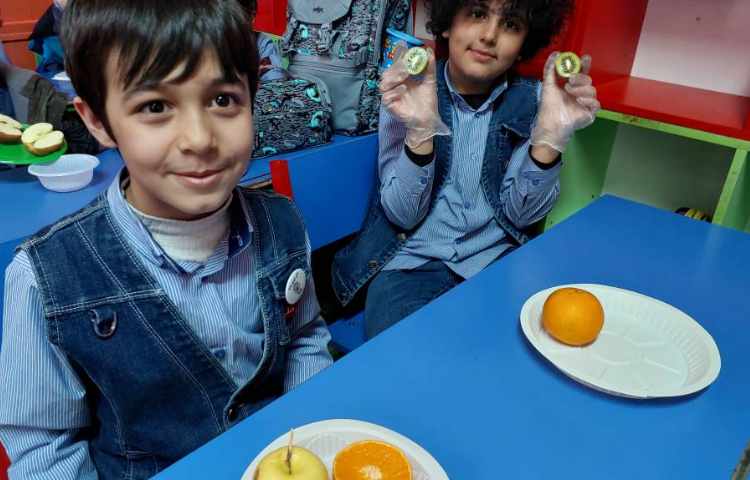 درس: علوم موضوع: شناخت انواع دانه‌ه 1